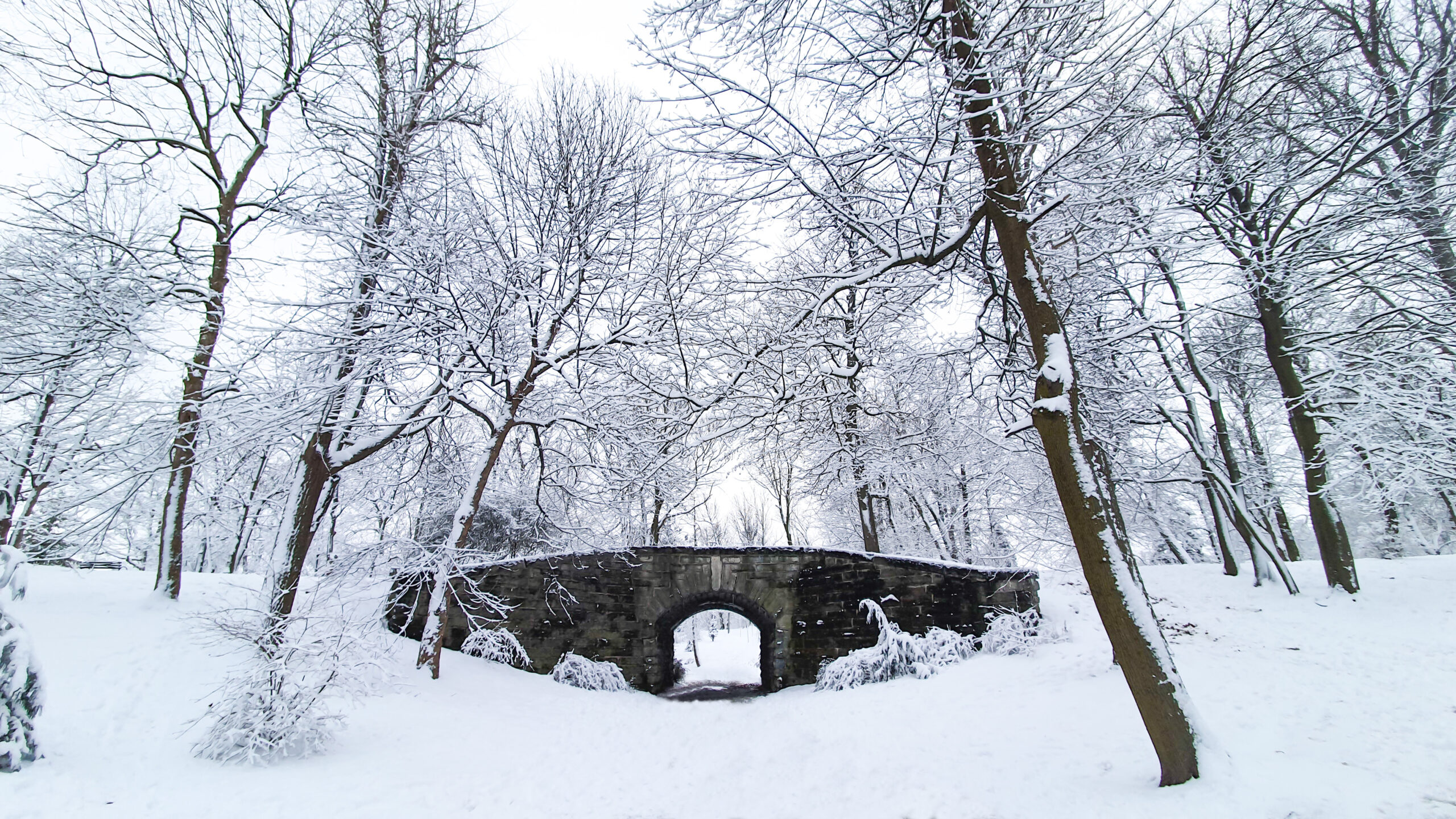 IVY BRIDGE IN DELAWARE PARK